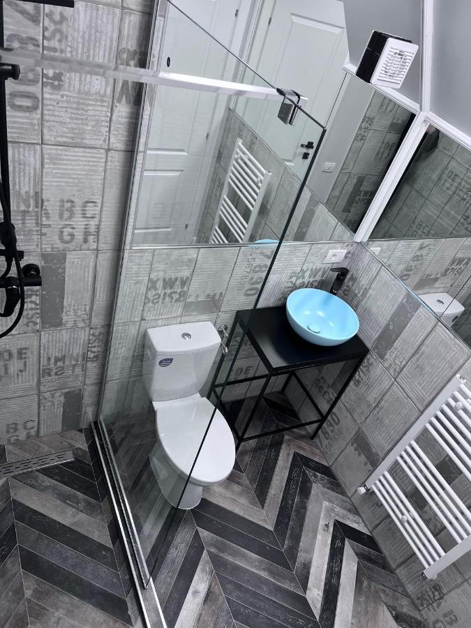 Borşa Doinita House 빌라 외부 사진
