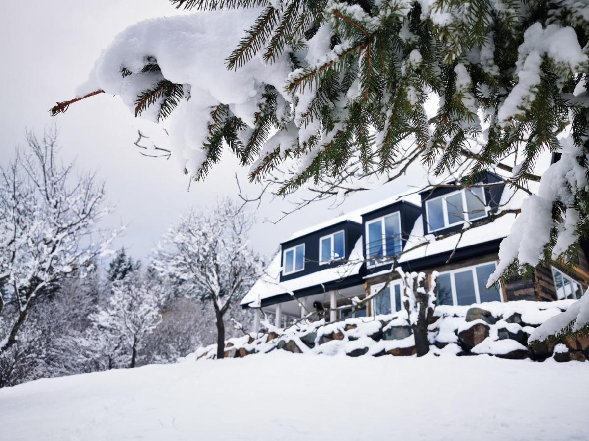 Borşa Doinita House 빌라 외부 사진
