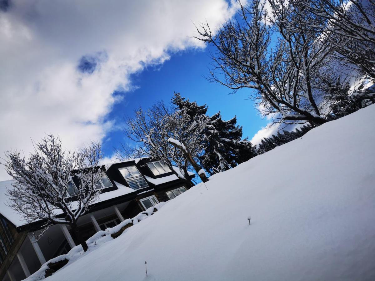 Borşa Doinita House 빌라 외부 사진