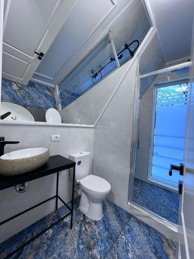 Borşa Doinita House 빌라 외부 사진