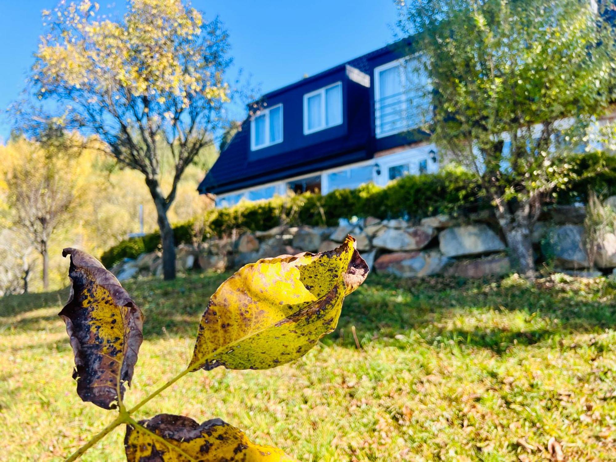 Borşa Doinita House 빌라 외부 사진